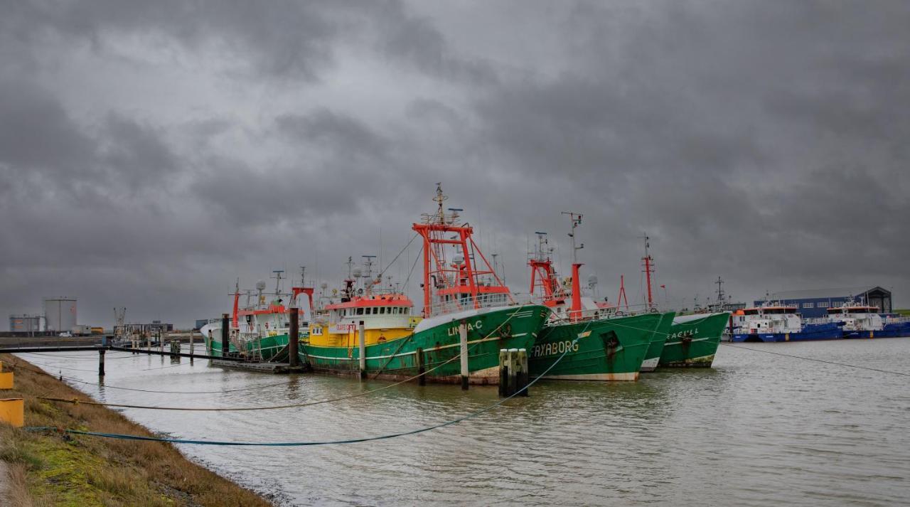 Schierzicht Logement Lauwersoog Dış mekan fotoğraf